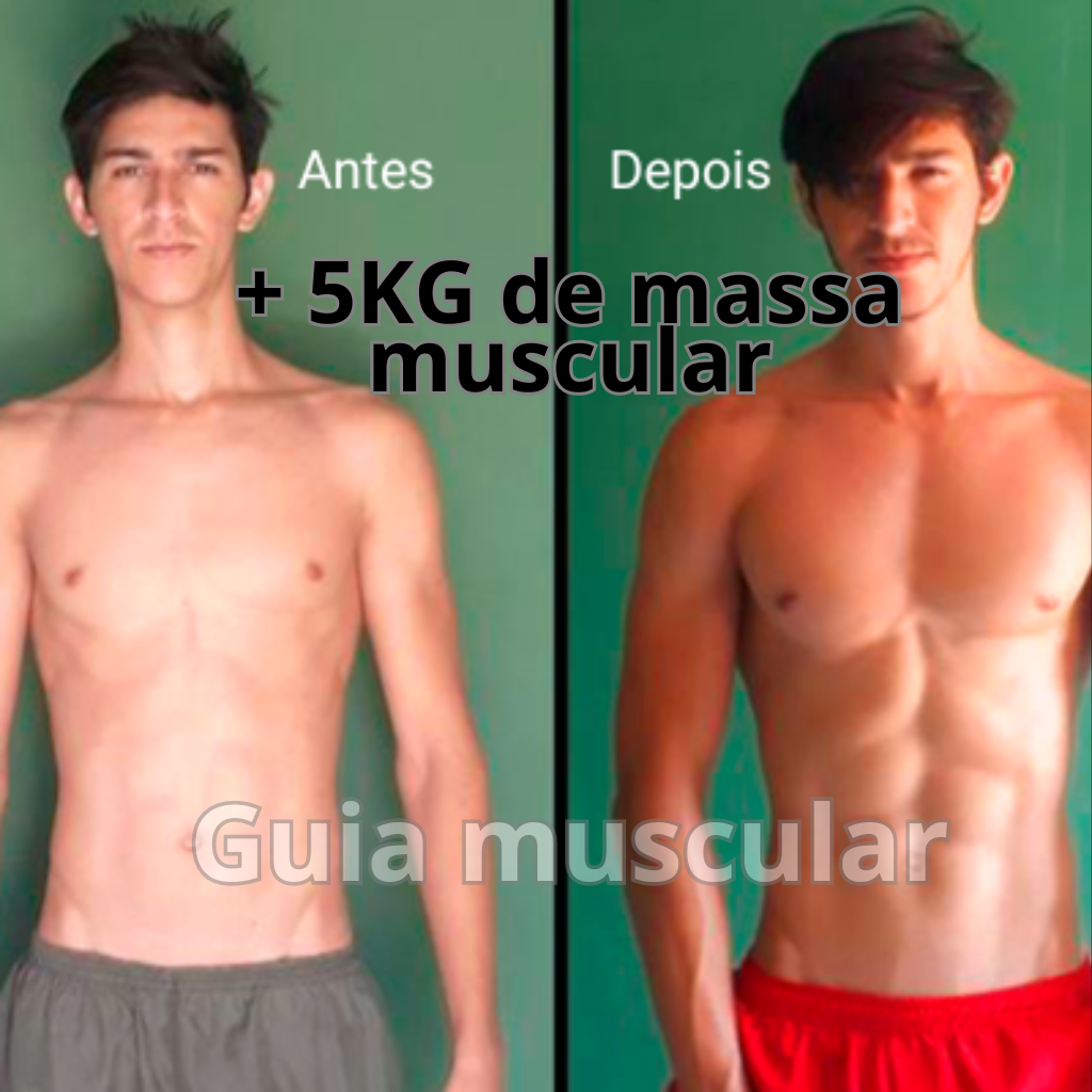 Guia muscular (1)